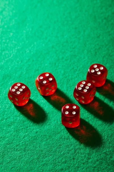 Live dealer at korea toto blackjack table with multi-camera feed